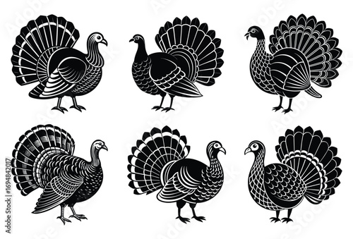 Wild Turkey Bird Vector Silhouette Set for Thanksgiving and Farm Animals
