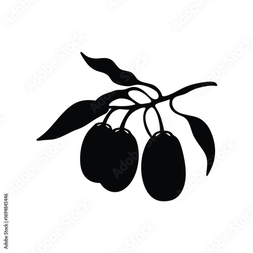 Download high quality olive branch vector illustration for graphic design and decoration needs