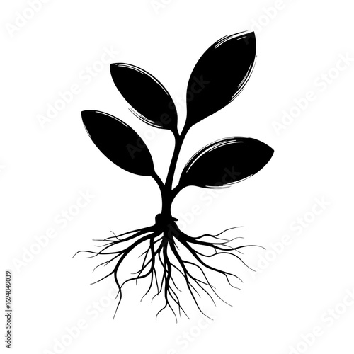 Silhouette of seedling with roots displayed on transparent background. Seedling silhouette represents growth, nature and organic design, conveying fresh start, new beginnings, and spring.