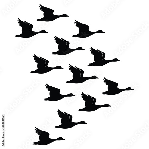 Black and white silhouette illustration of Canada geese flying in a V formation with detailed wings and long necks extended forward