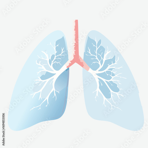 A watercolor painting of a minimal, large pair of clouds using white colors, elegant, transparent, and reminiscent of lungs, on a full light blue color background with a wet wash