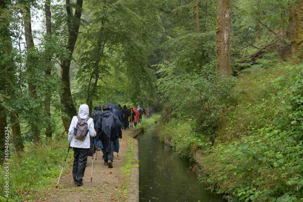 Fototapeta premium Groupe de randonneurs dans la forêt d'Huelgoat en Bretagne - France