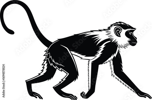 Black and White Illustration of a Monkey Walking with a Curved Tail