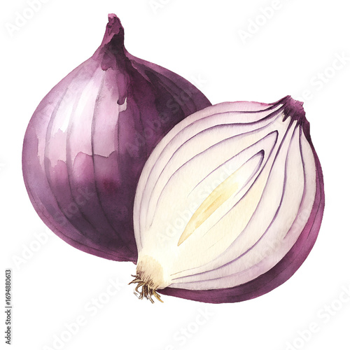 Watercolor painting of whole and halved red onion on transparent background