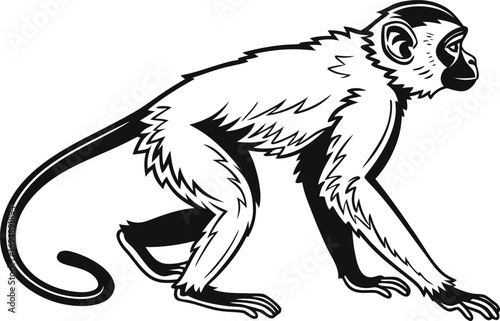 A Black and White Illustration of a Monkey Walking on Four Legs