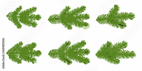 Collection of six stylized green pine branches with subtle variations in color and texture on a white background