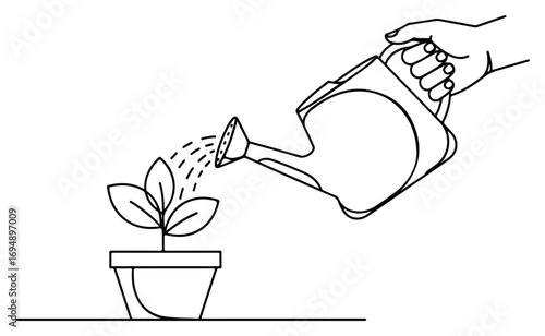 Watering a Young Plant in a Pot.