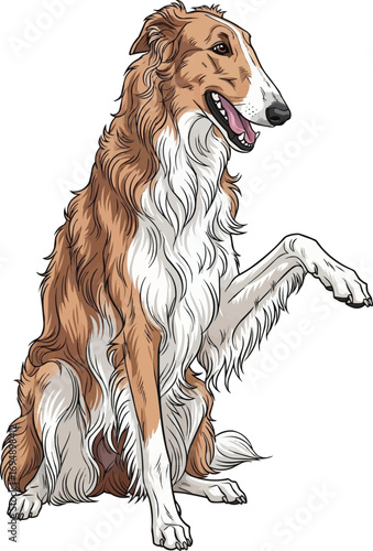 Russian Wolfhound Borzoi dog playful friendly raising paw 