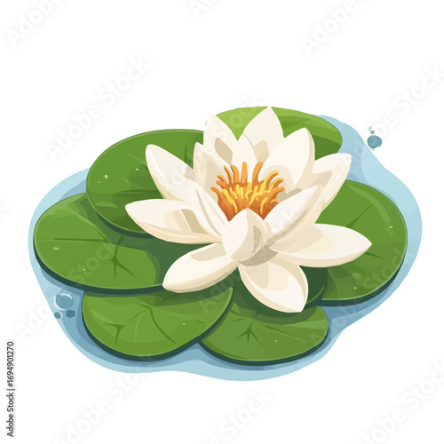 Water Lily, 2D isometric flat cartoon vector illustration isolated on white background.