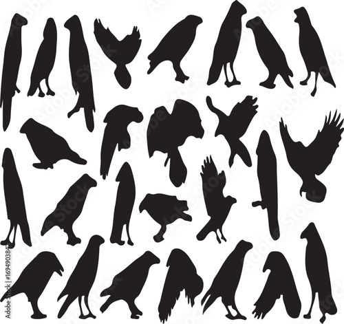 Abstract geometric vector shapes representing modern design elements and concepts