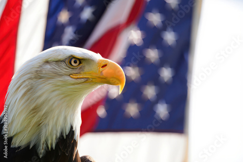 Majestic bald eagle portrait against american flag background