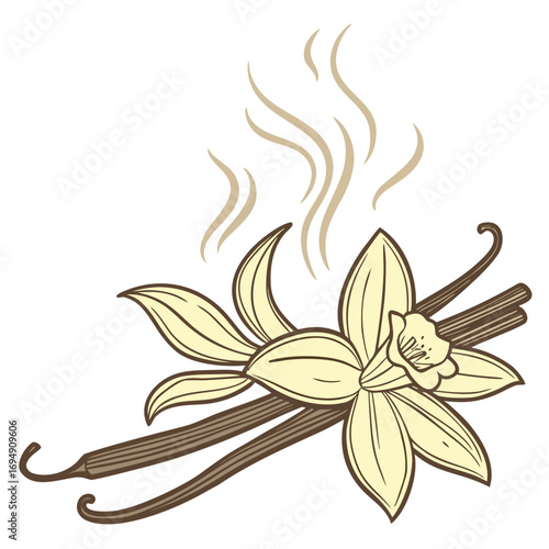 Vanilla Bean Flower and Pods with Wisps of Steam orchid spice