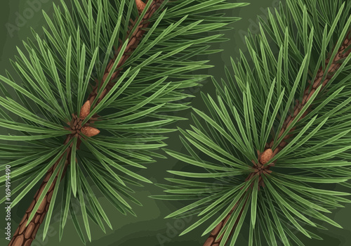 Vector art of closeup view of pine tree branches with needles and cones, showcasing the natural beauty of evergreen foliage