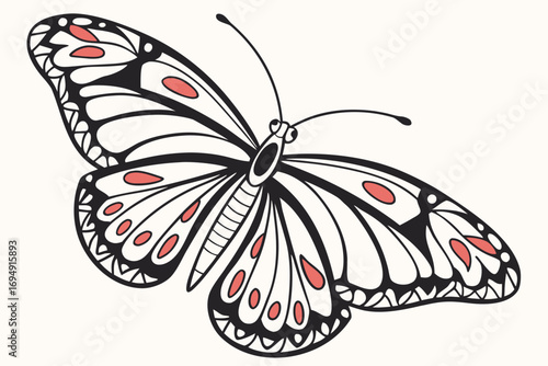 butterfly on white background