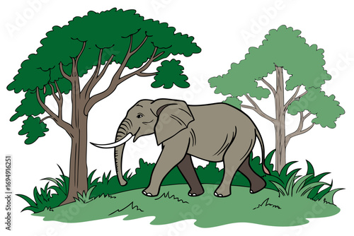 elephant in the grass
