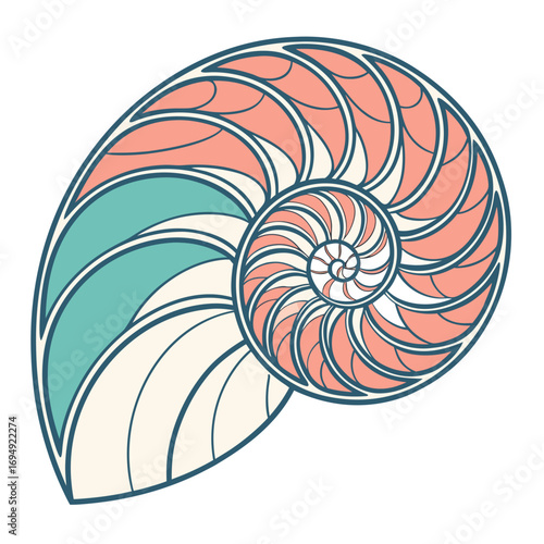 Illustration of a nautilus shell in a cartoon style with spiral pattern