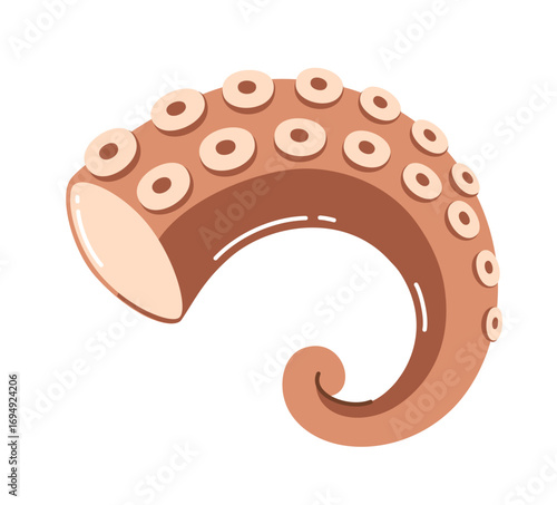 Fresh octopus tentacle. Vector illustration isolated on white background.