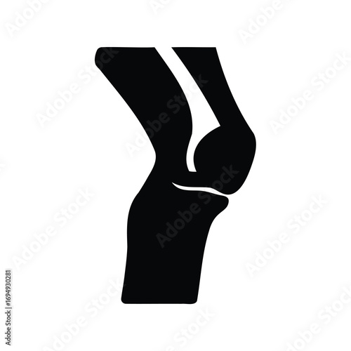 Silhouette of a human knee joint anatomy and structure illustration