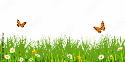 Two orange butterflies flying over a lush green meadow with white and yellow wildflowers