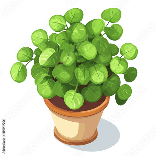 Chinese Money Plant, 2D isometric flat cartoon vector illustration isolated on white background.