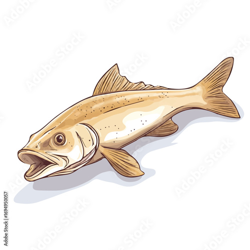 Haddock, 2D isometric flat cartoon vector illustration isolated on white background.