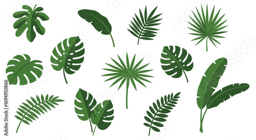 Tropical green leaves collection on white background