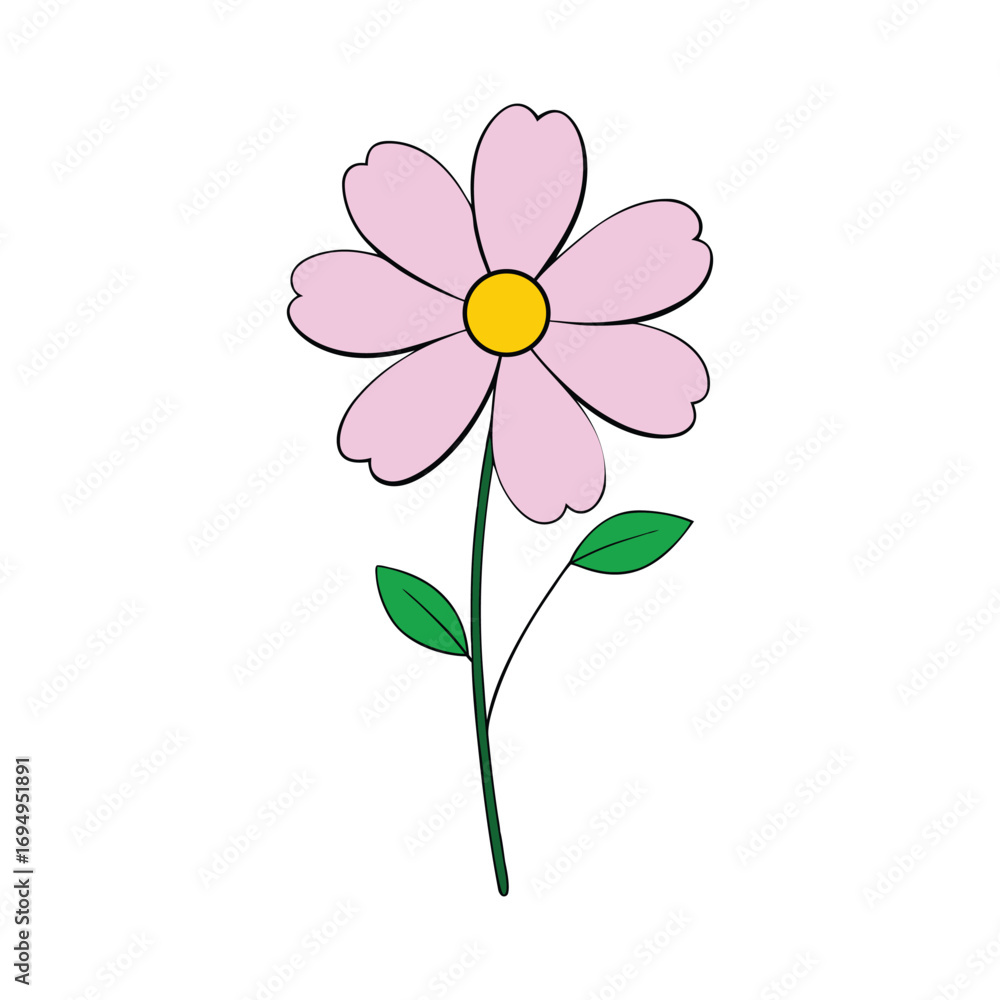 Naklejka premium Cosmos Flowers White Background Vector