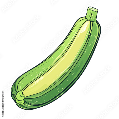 Zucchini, vector graphic, 2D flat isometric cartoon illustration on white background.
