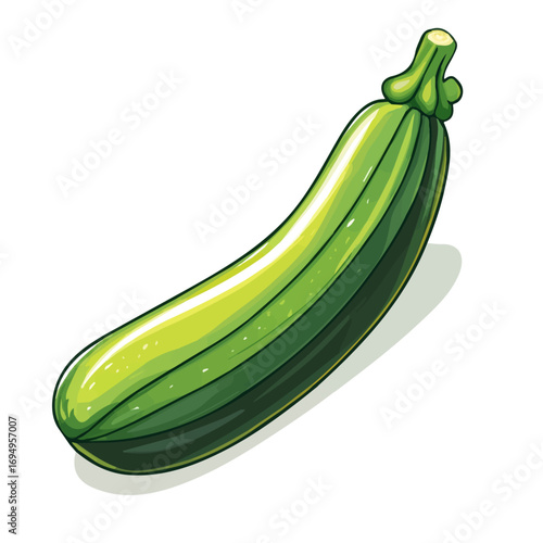 Zucchini, 2D isometric flat cartoon vector illustration isolated on white background.