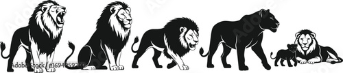 Lion pride silhouette illustration, roaring lion, walking lioness, cubs with mother, black and white vector for wildlife, nature, and animal content