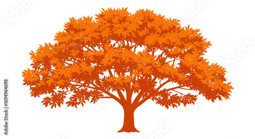 Orange silhouette of majestic maple tree with lush foliage