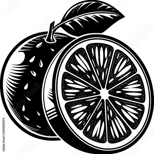 vector illustration of an orange on a white background 
