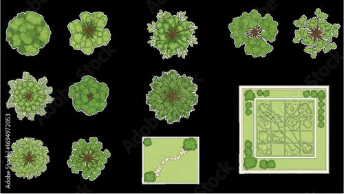 Top View Trees Set | Vector Tree Illustrations for Landscape and Garden Design Plans