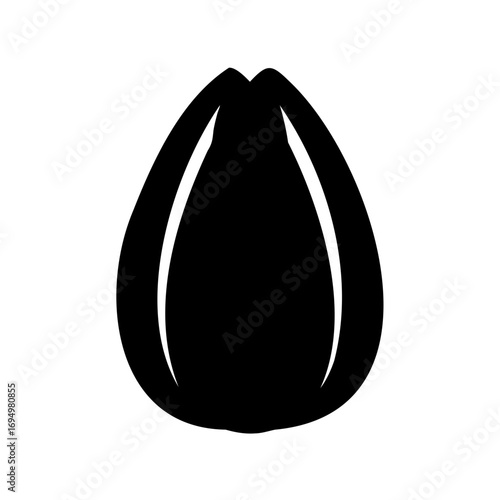 Black silhouette of a single sunflower seed on a white background