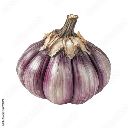 Fresh Purple Garlic Bulb with Unique Texture and Color for Culinary Use on transparent background