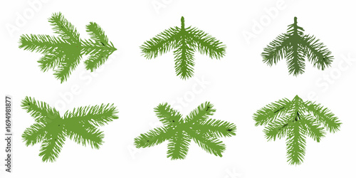 Collection of six green fir tree branches isolated on white background