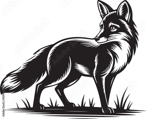 A classic black and white stylized graphic illustration of a wild fox. A sophisticated vector in a bold woodcut style isolated on a white background