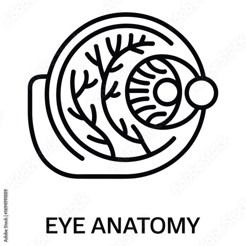 Human eye anatomy diagram showing internal structure in detailed black and white outline drawing silhouette