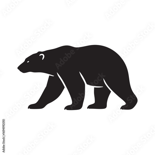 Silhouette of a Powerful Polar Bear Majestic and Strong in the Arctic Habitat Walking