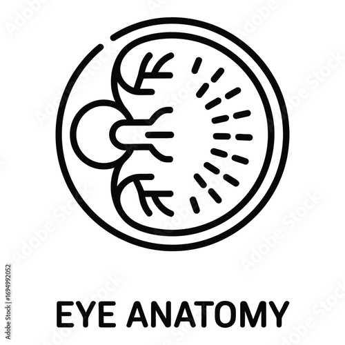 Eye anatomy cross section diagram showing internal structures for medical educational purposes image vector silhouette