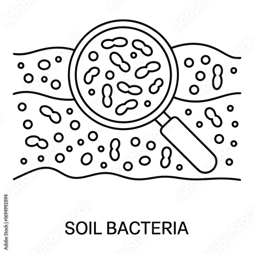 Magnified soil bacteria under scrutiny revealing microscopic organisms and their intricate structures beneath the surface silhouette