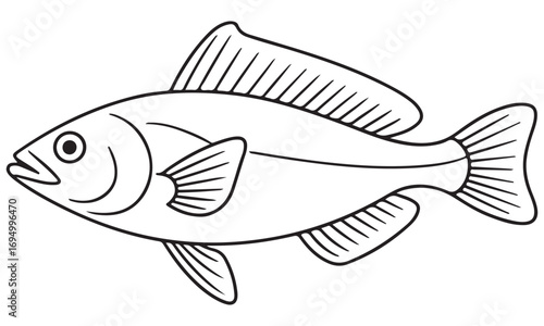 Simple Line Art Drawing of a Fish Outline