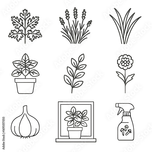 Natural Mosquito Icons. Line style icons of natural mosquito deterrents: citronella plant icon, lavender bush, lemongrass leaves,