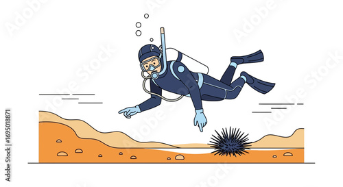 Illustration of a scuba diver exploring the ocean floor and pointing at a sea urchin