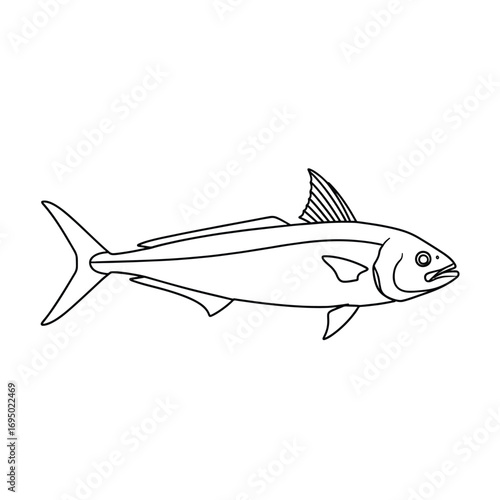Sleek kingfish line art illustration