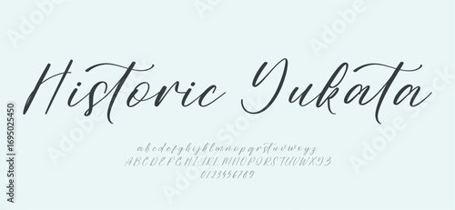Signature Font Uppercase Lowercase And Number. Script Font Calligraphy Logotype elegant Font Type Font lettering handwritten. vector illustration  
