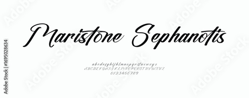 Signature Font Uppercase Lowercase And Number. Script Font Calligraphy Logotype elegant Font Type Font lettering handwritten. vector illustration  
