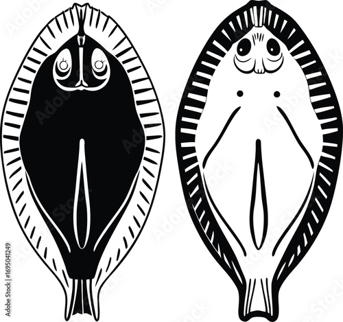 Flatfish Silhouette Side View Vector Illustration - Flatfish Anatomy
