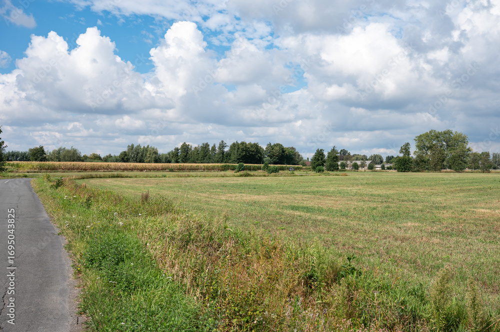 Obraz premium Green meadows and trees at the countryside in Zele, East Flemish Region, Belgium