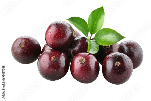 Wallpaper Mural Fresh dark red cherries with green leaves isolated on transparent background. Delicious cherries isolated on white background. Torontodigital.ca